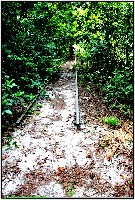 Plonsen - nr. 0199